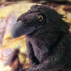 An image of a Wild Republic raven plush
