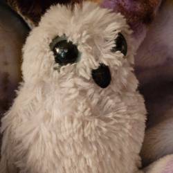 A snowy owl plush