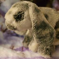 A gray and white stopped lop-eared bunny plush