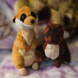 Meerkat and mongoose plushies sitting side by side.