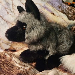 An image of a sitting Douglas silver fox plush.