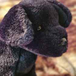 An Animal Alley black dog plush.