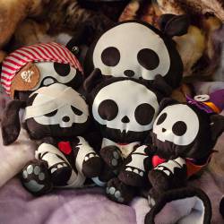 Five skelanimal plushes, four are small and one is big. There is a parrot skeleton plush dressed as a pirate, a dog skeleton plush dressed as a mummy, a bat skeleton plush dressed as a vampire, and a cat skeleton plush dressed as a witch. The big plush is a dog skeleton and is not wearing a costume.