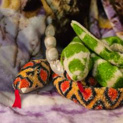 A rattlesnake plush and a green snake plush coiled on top.