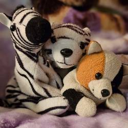 A zebra plush, a white tiger plush, and a calico cat plush sitting side by side.
